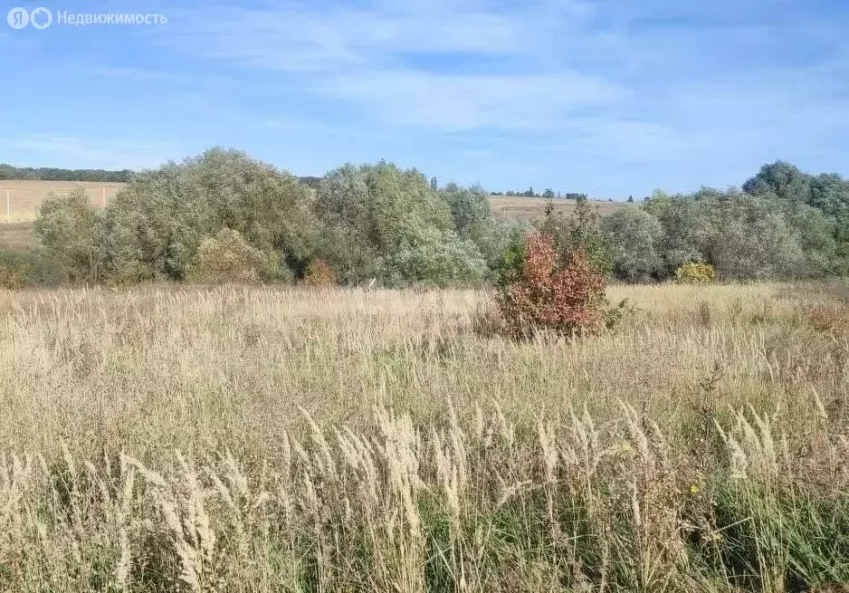 Участок в село Девица, КП Поречье, Приозёрная улица (10 м) - Фото 1