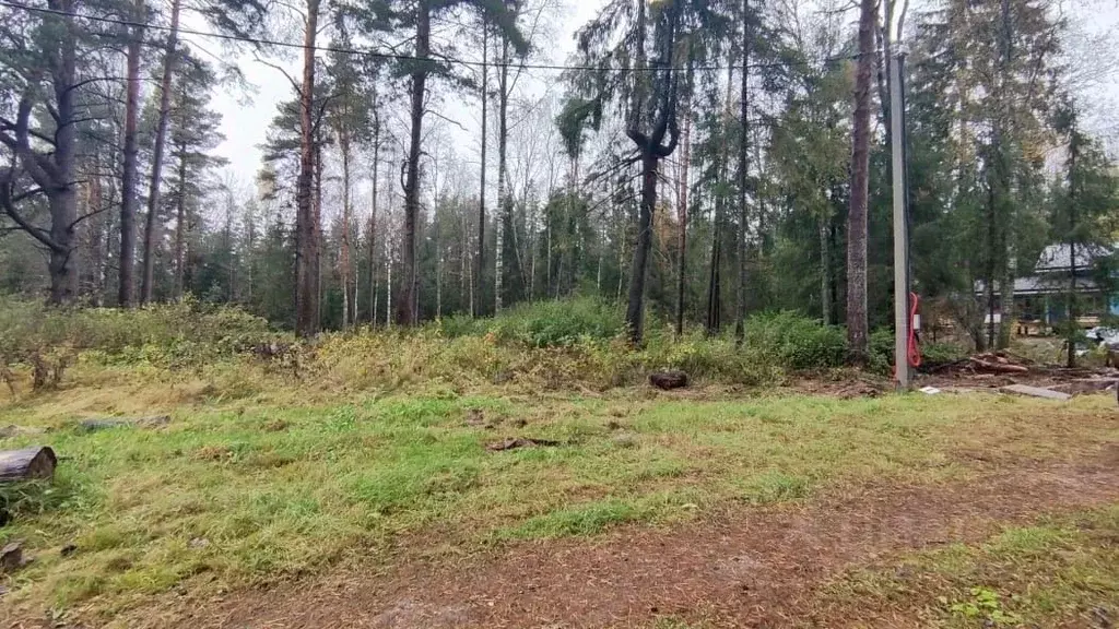 Участок в Новгородская область, Новгородский район, Савинское с/пос, ... - Фото 1