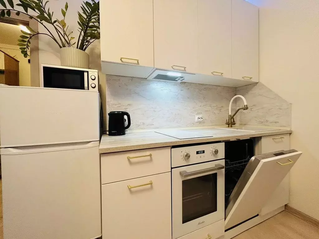 Студия Санкт-Петербург пос. Шушары, просп. Старорусский, 13к2 (25.0 м) - Фото 1