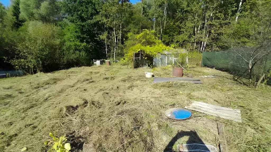 Участок в Калининградская область, Светловский городской округ, пос. ... - Фото 1