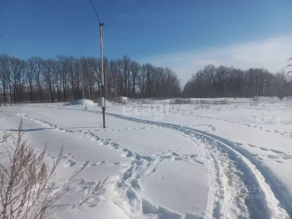 Участок в Тульская область, Тула муниципальное образование, д. ... - Фото 0