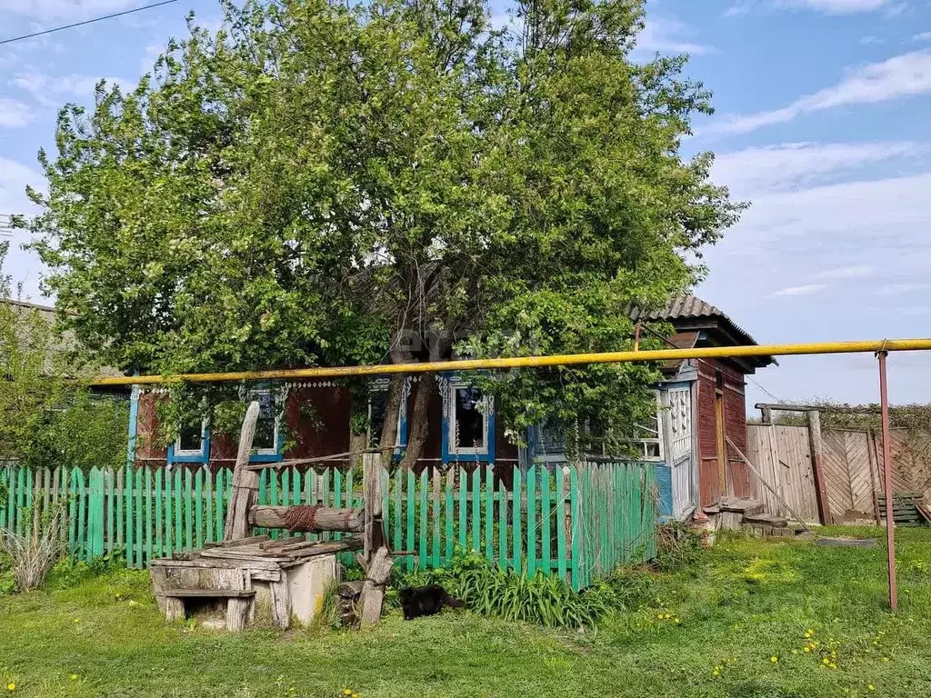 Дом в Тамбовская область, Сосновский муниципальный округ, д. Семикино ... - Фото 1