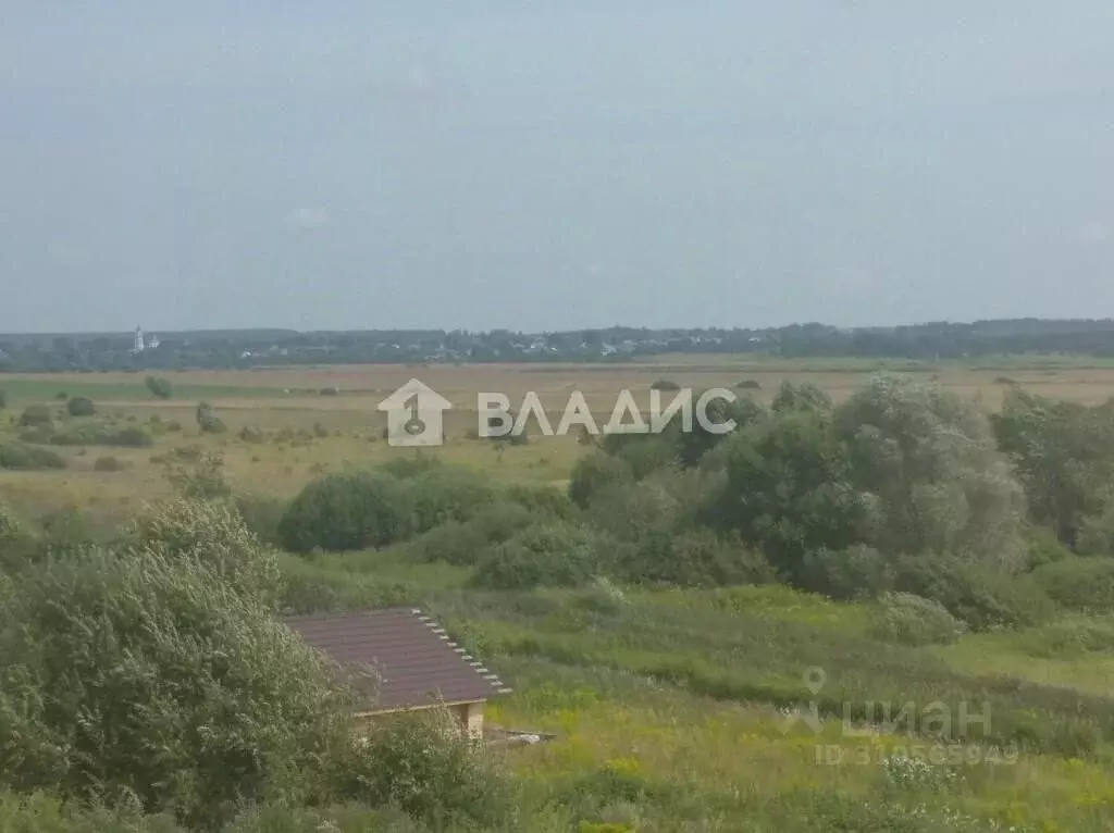 Участок в Владимирская область, Суздальский район, Боголюбовское ... - Фото 1