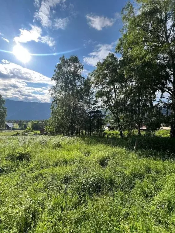 Участок в Алтай, Чемальский район, пос. Усть-Сема  (7.5 сот.) - Фото 1