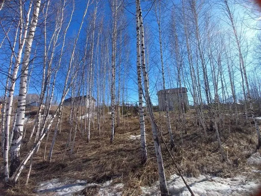 Участок в Новосибирская область, Новосибирский район, Барышевский ... - Фото 0