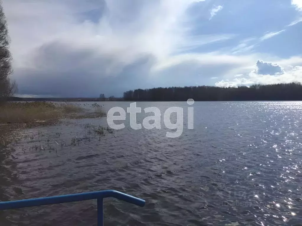 Участок в Костромская область, Красносельский район, Сидоровское ... - Фото 0