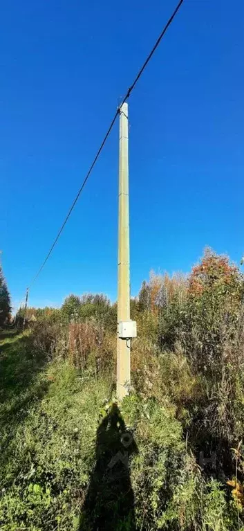 Участок в Ленинградская область, Кировский район, Назиевское городское ... - Фото 1