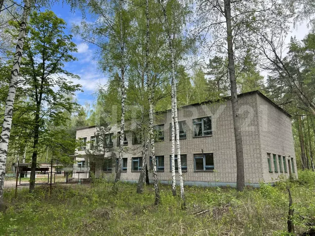 Помещение свободного назначения в Липецкая область, Задонский ... - Фото 1