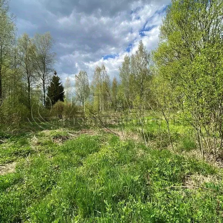 Участок, 50 сот., 0 - Фото 0