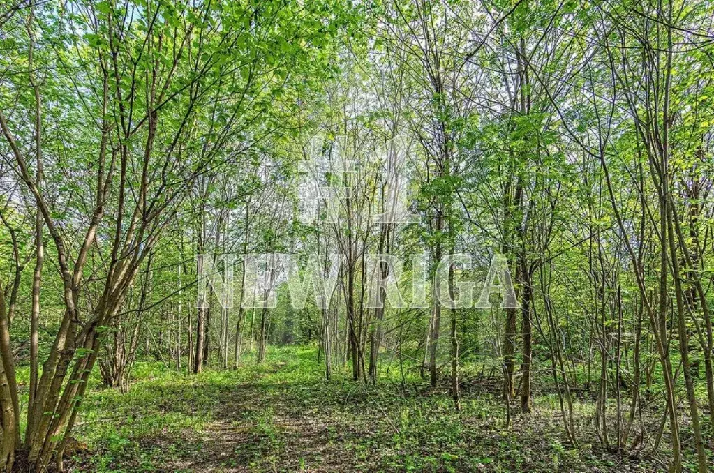 Участок в Московская область, Истра городской округ, д. Захарово, ... - Фото 0