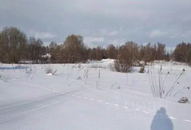 Участок в Московская область, Дмитровский муниципальный округ, с. ... - Фото 1