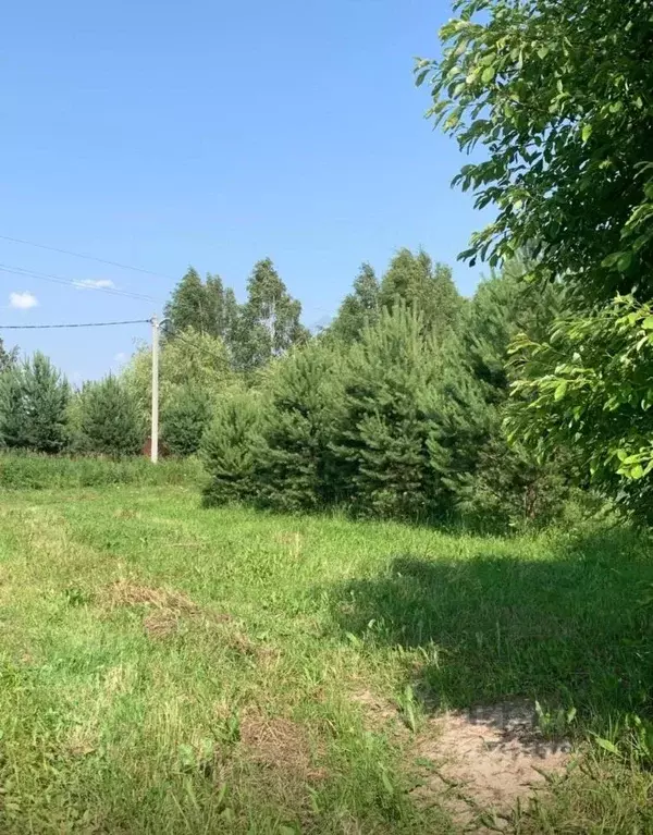 Участок в Тульская область, Щекино пл. Ленина (12.9 сот.) - Фото 1