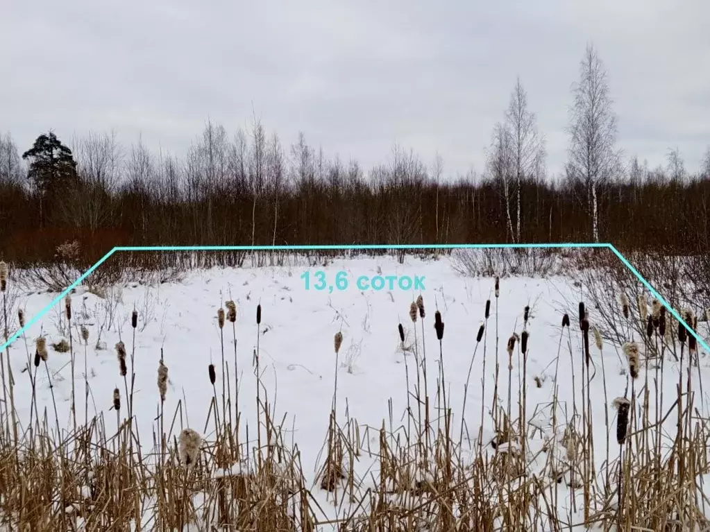 Участок в Ярославская область, Рыбинск Заволжский п/р, ул. ... - Фото 1