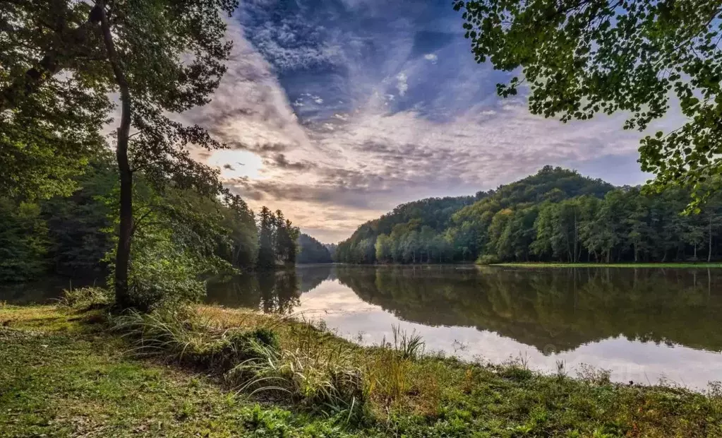 Участок в Ленинградская область, Тосненский район, Любанское городское ... - Фото 1