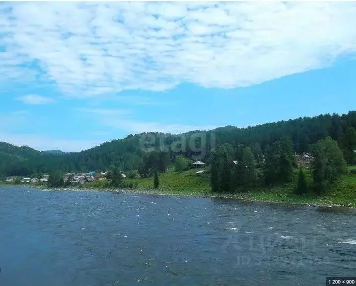 Участок в Алтай, Турочакский район, с. Старый Кебезень Совхозная ул. ... - Фото 1