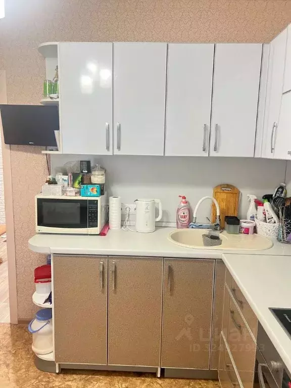 2-к кв. Омская область, Омск СибНИИСХоз мкр, ул. 1-я Пригородная, 14к1 ... - Фото 2