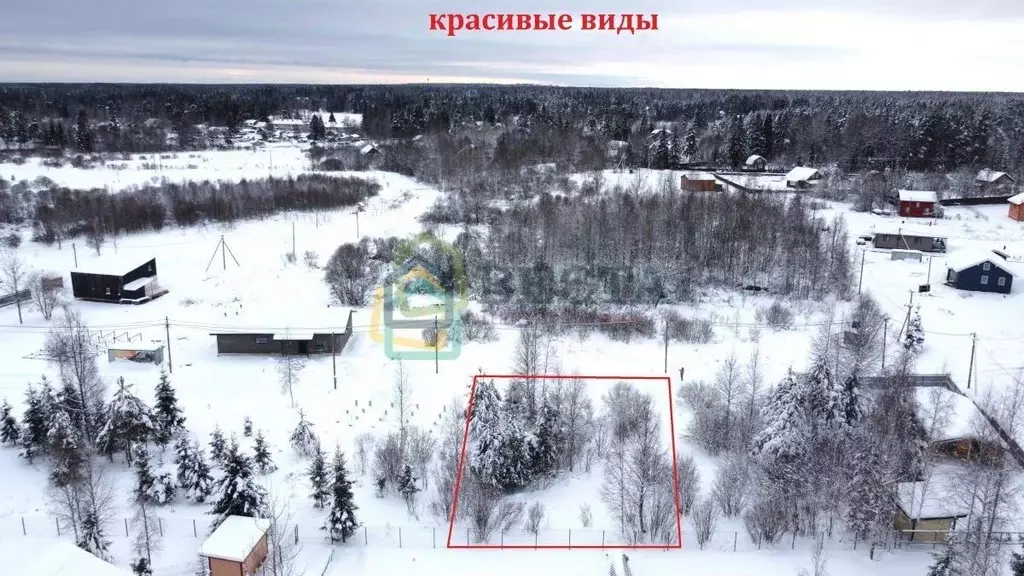 Участок в Ленинградская область, Выборгский район, Рощинское городское ... - Фото 2