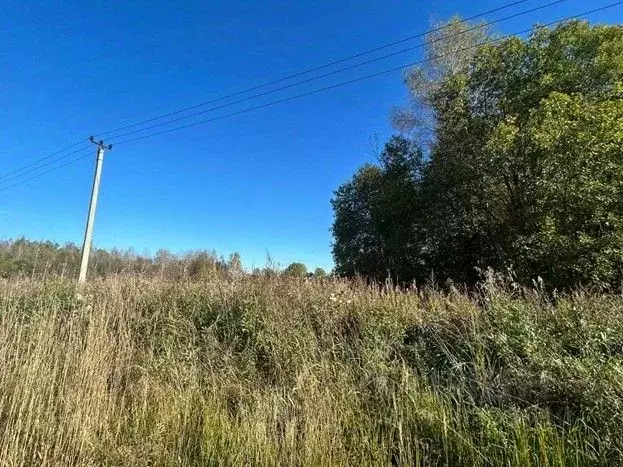 Участок в Московская область, Сергиево-Посадский городской округ, д. ... - Фото 1