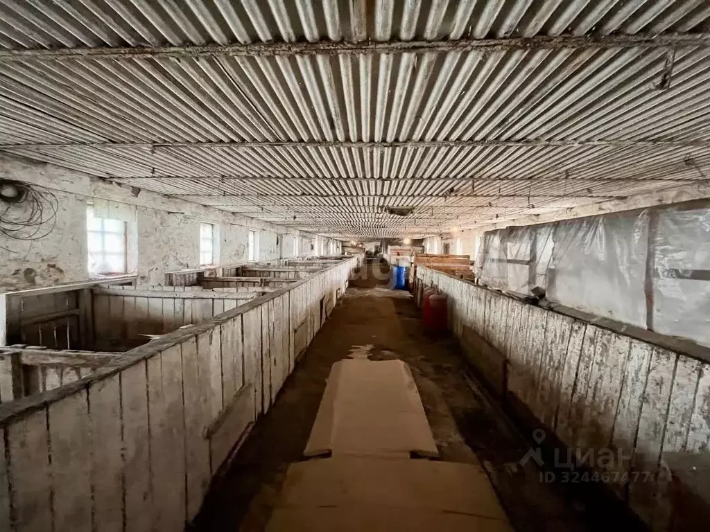 Помещение свободного назначения в Тамбовская область, Тамбовский ... - Фото 1