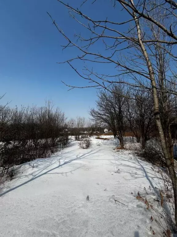 Участок в Хабаровский край, Хабаровский район, Ильинка с/пос, с. ... - Фото 1