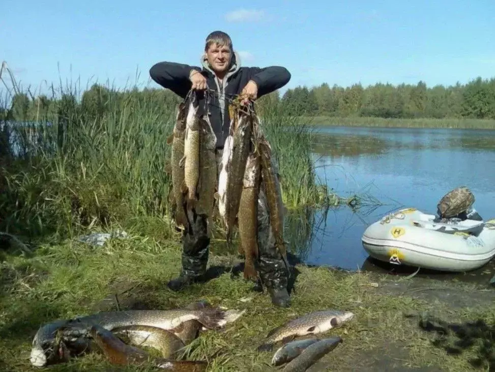 Участок в Псковская область, Дедовичский муниципальный округ, д. ... - Фото 1