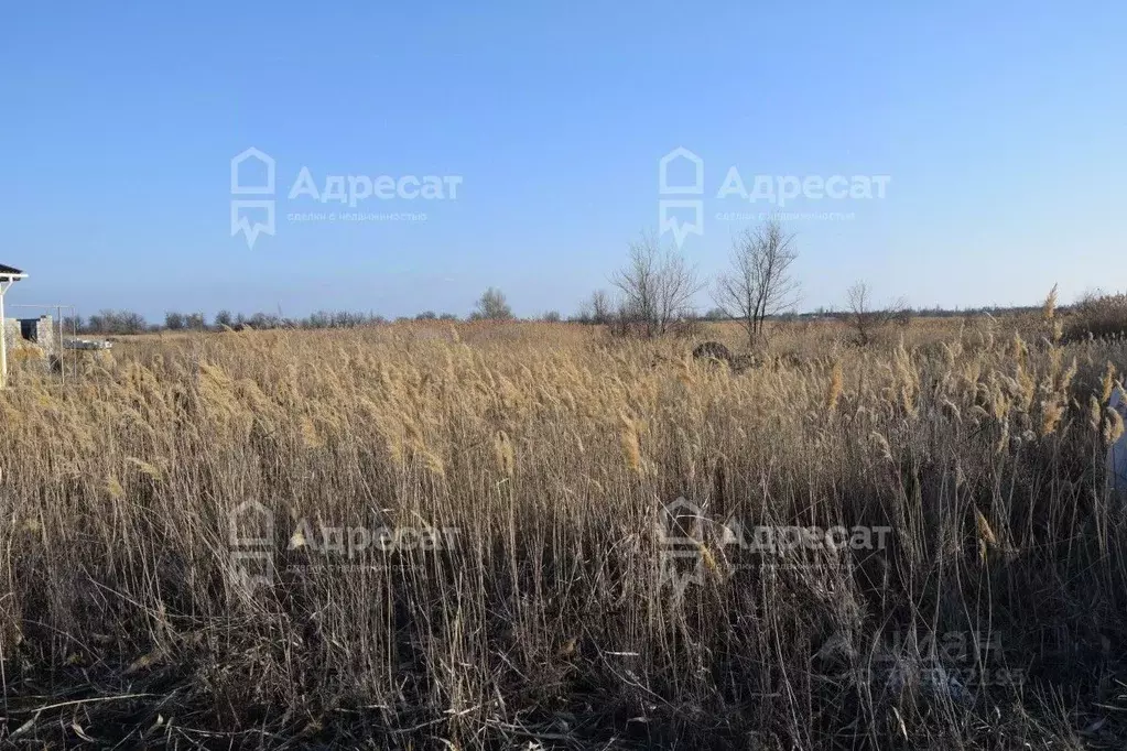 Участок в Волгоградская область, Краснослободск Среднеахтубинский ... - Фото 2