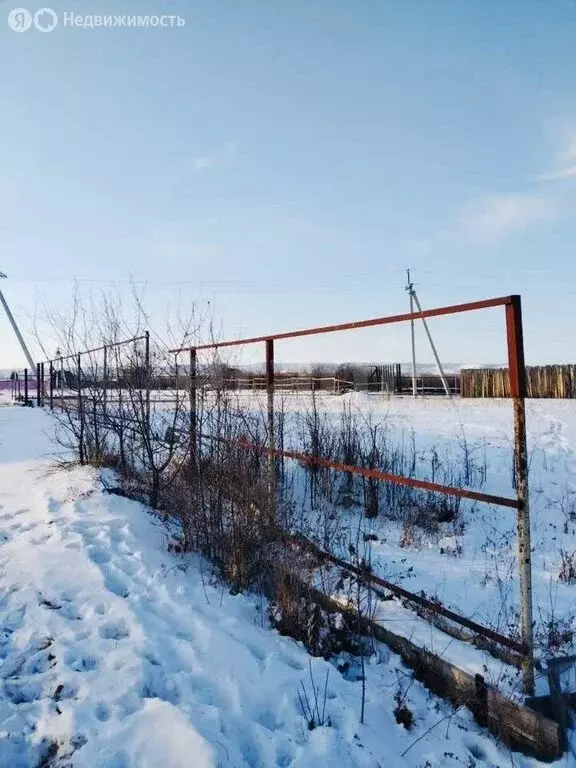 Участок в Читинский район, ДНТ Земляничное (8.13 м) - Фото 1
