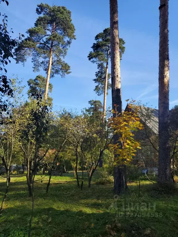 Участок в Московская область, Люберцы городской округ, Малаховка пгт ... - Фото 1