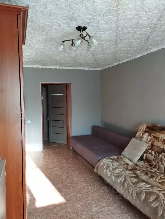 2-к кв. Новосибирская область, Новосибирск ул. Блюхера, 67 (36.2 м) - Фото 2