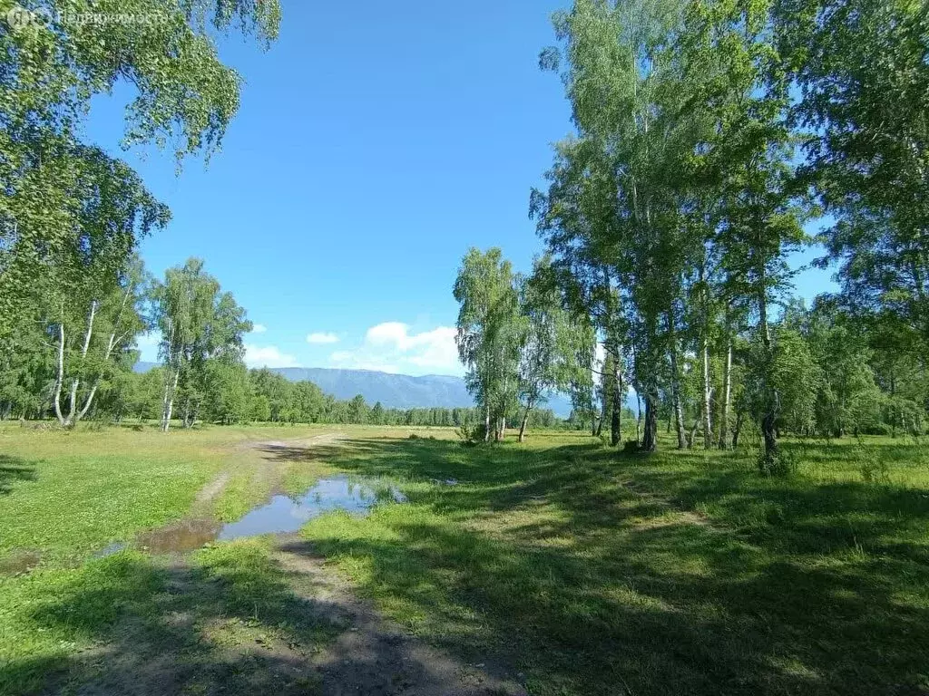 Участок в Усть-Коксинский район, посёлок Октябрьское, Дорожная улица ... - Фото 0