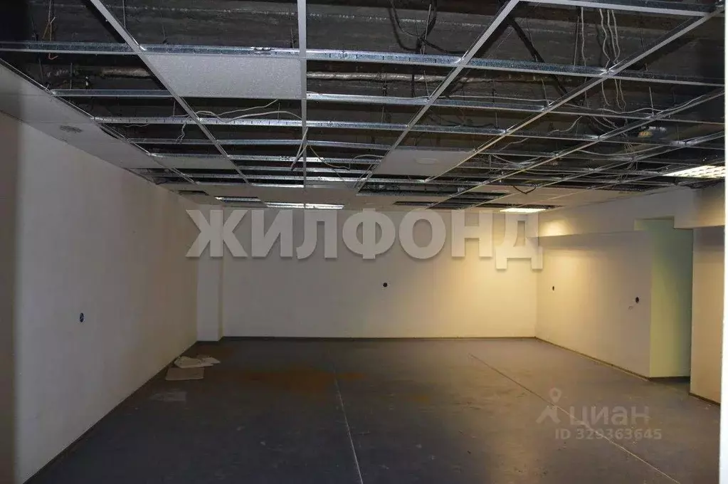 Помещение свободного назначения в Новосибирская область, Новосибирск ... - Фото 2