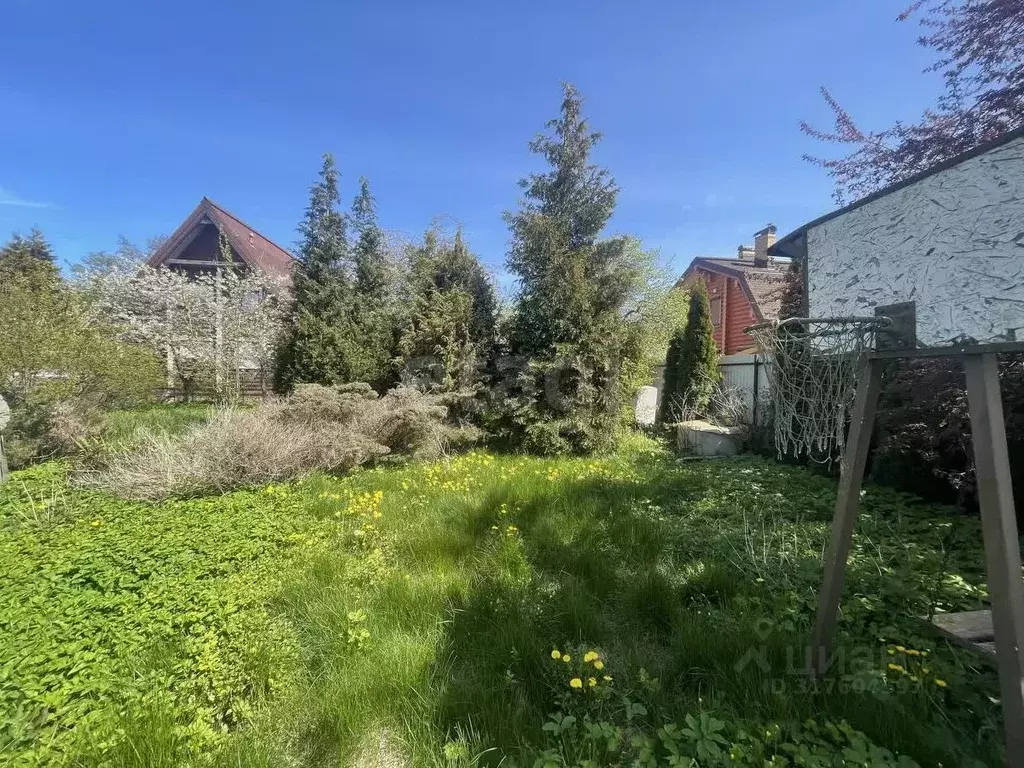Участок в Калининградская область, Зеленоградск Прибой садоводческое ... - Фото 0