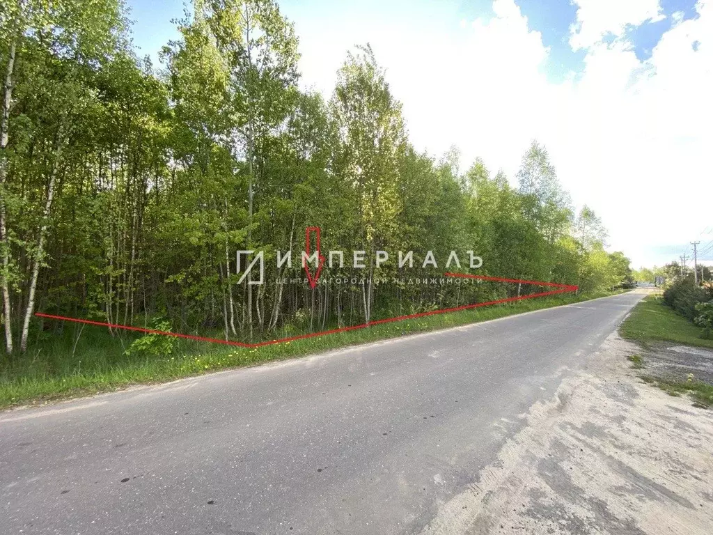 Участок в Калужская область, Жуковский муниципальный округ, Корсаково ... - Фото 1