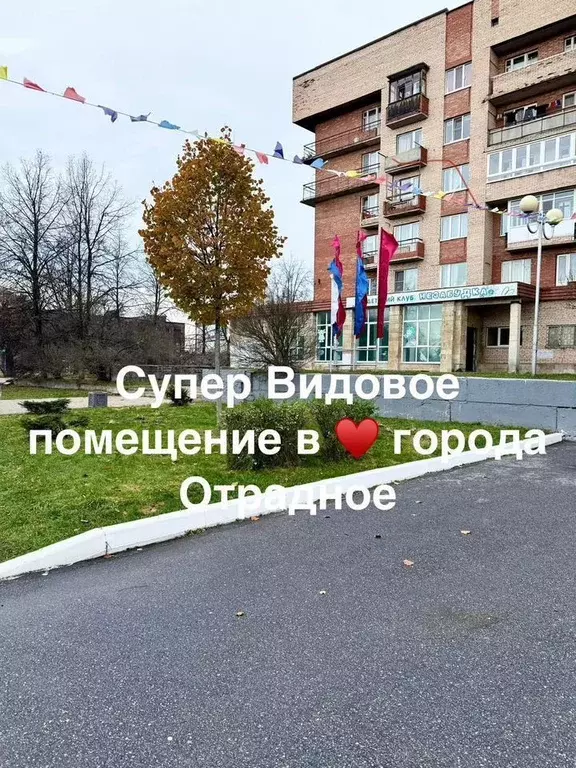 Помещение свободного назначения в Ленинградская область, Отрадное ... - Фото 1
