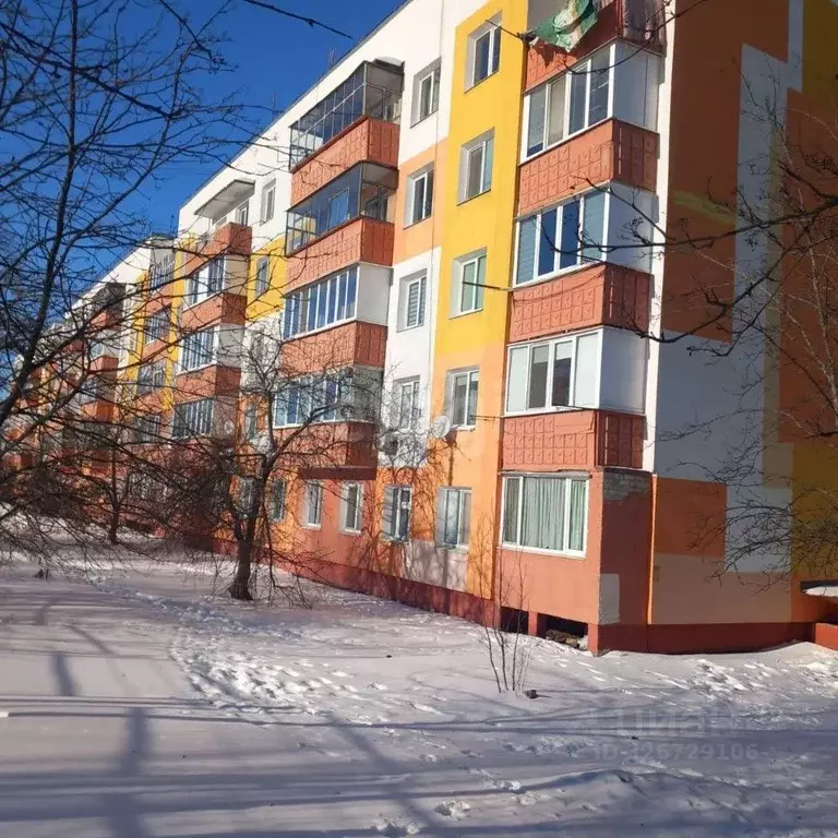 2-к кв. Белгородская область, Строитель Яковлевский городской округ, ... - Фото 2