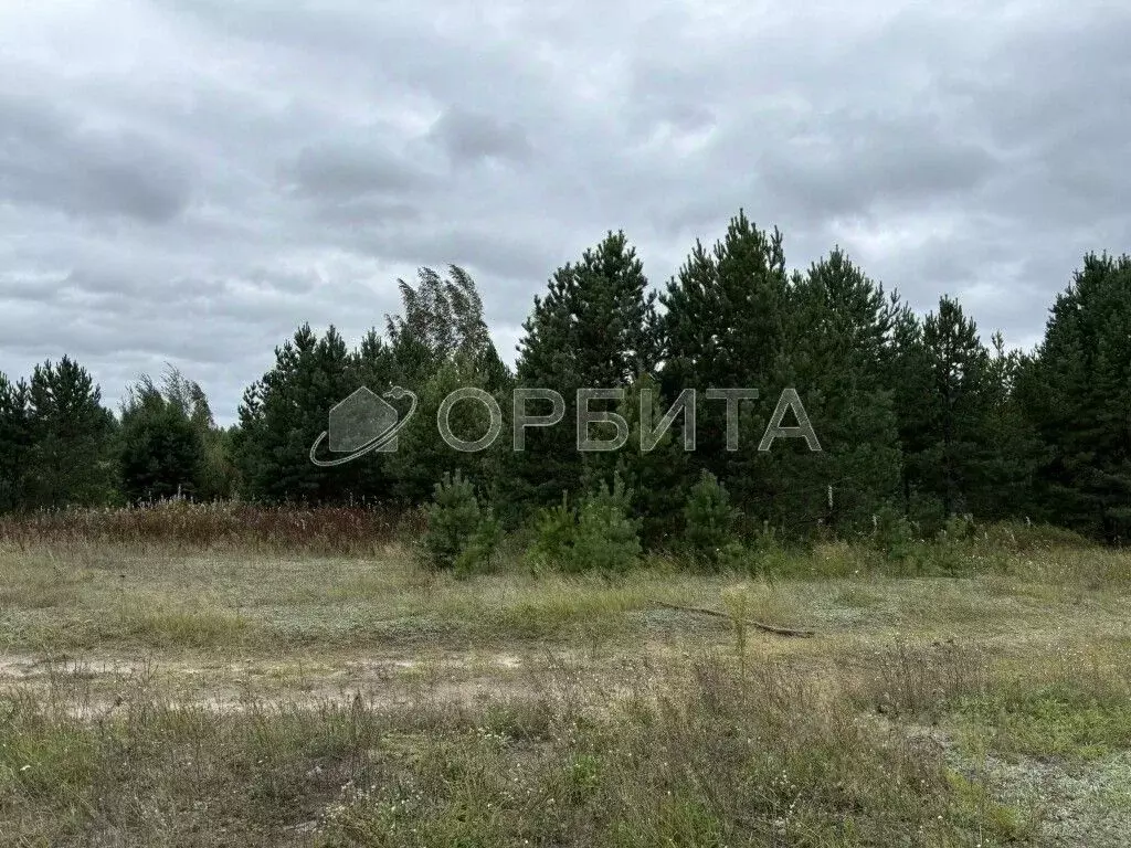 Участок в Тюменская область, Вагайский район, д. Елань Еланская ул., 5 ... - Фото 1