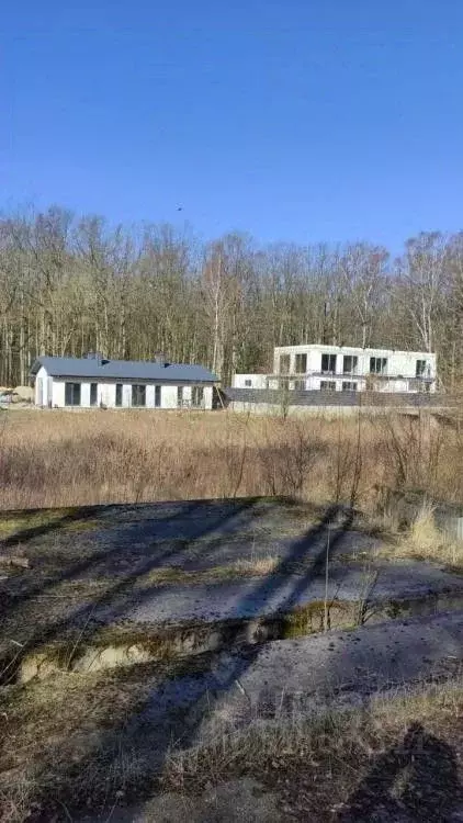 Участок в Калининградская область, Светлогорский городской округ, пос. ... - Фото 0