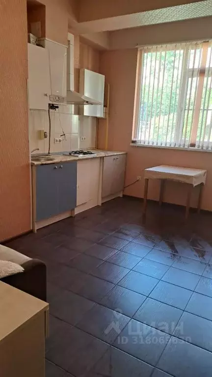 Студия Краснодарский край, Сочи ул. Верхняя Лысая Гора, 9А (27.0 м) - Фото 0