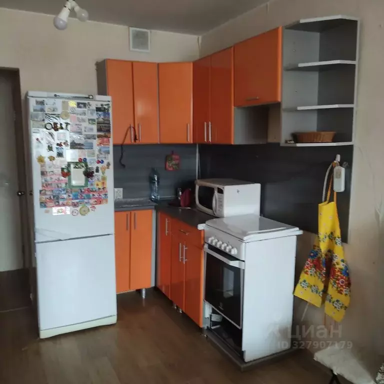 Студия Удмуртия, Ижевск Нижняя ул., 2 (24.0 м) - Фото 2