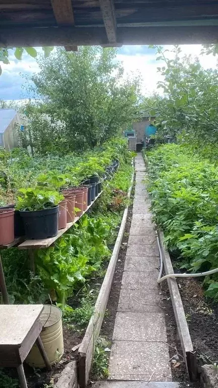 Дом в Татарстан, Набережные Челны Гидростроитель-2 СНТ, 550 (20 м) - Фото 2