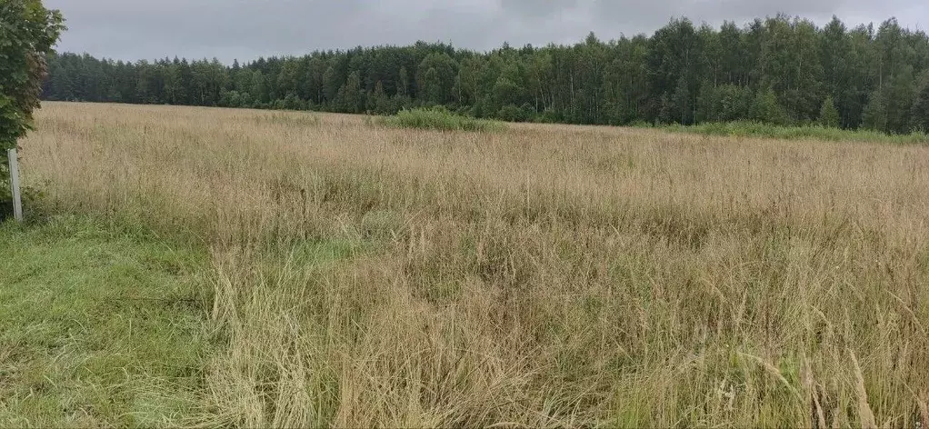 Участок в Московская область, Шатура муниципальный округ, д. Спирино  ... - Фото 1