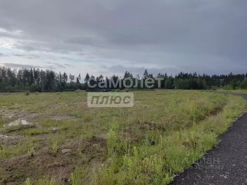 Участок в Московская область, Богородский городской округ, Восточная ... - Фото 2