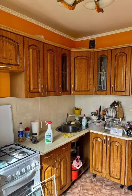 3-к кв. Московская область, Озеры Коломна городской округ, Болотный ... - Фото 0