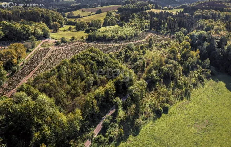 Участок в Пермский муниципальный округ, квартал Полюдовский (320 м) - Фото 2