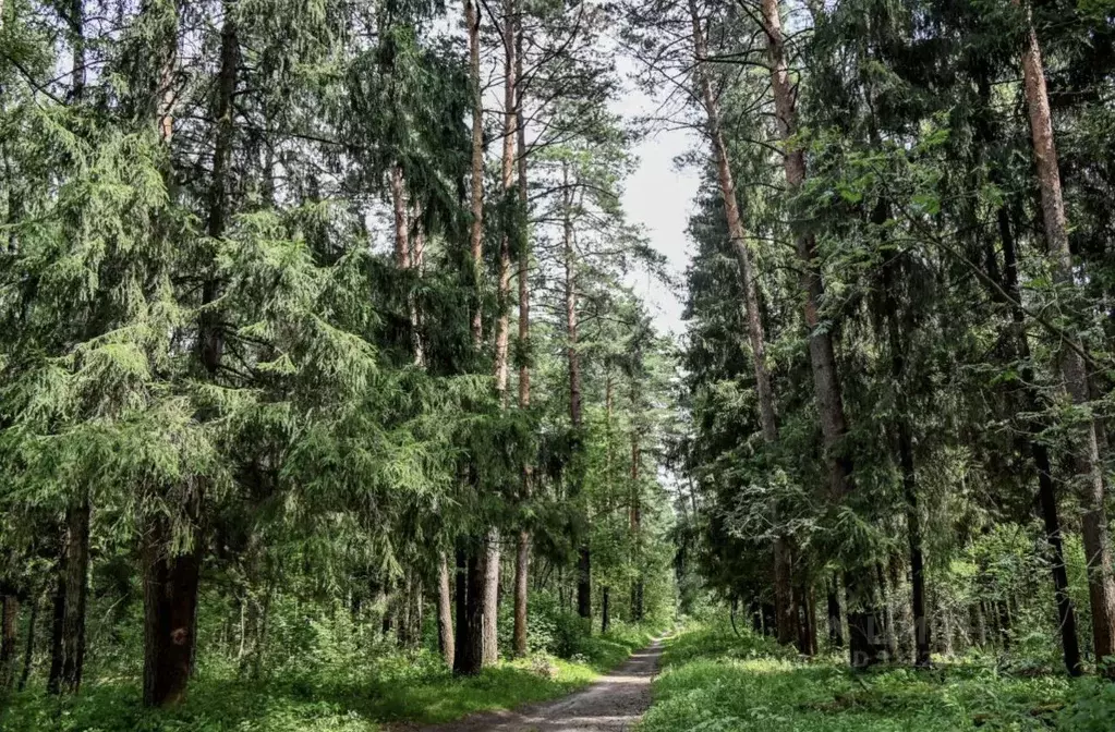 Участок в Московская область, Солнечногорск городской округ, д. ... - Фото 1