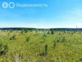 Участок в Алапаевск, Янтарная улица (11 м) - Фото 2