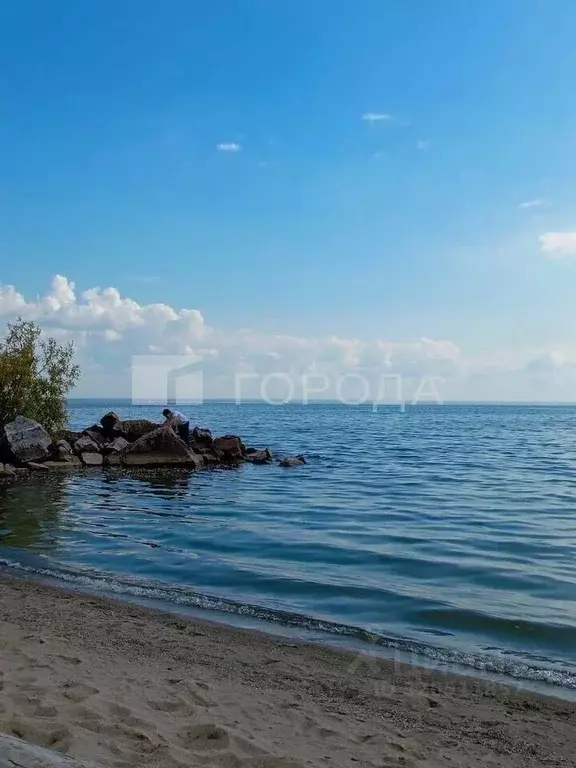 Участок в Новосибирская область, Новосибирский район, Морской ... - Фото 1