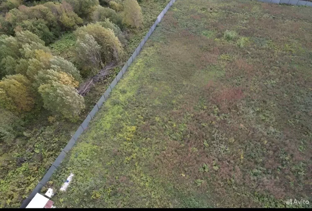 Участок в Ленинградская область, Гатчинский муниципальный округ, №1 ... - Фото 2