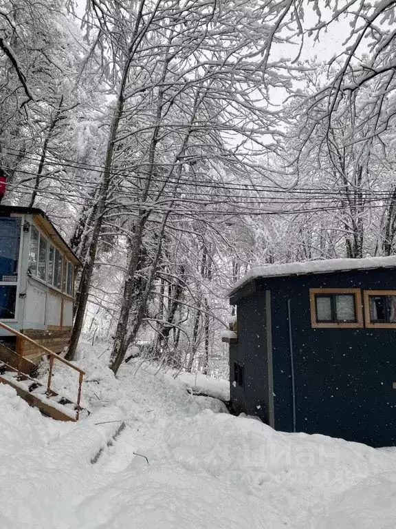 Дом в Краснодарский край, Сочи Красная Поляна пгт, ул. Защитников ... - Фото 1
