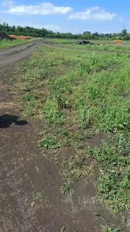 Участок в Башкортостан, Стерлитамакский район, Красноярский сельсовет, ... - Фото 1